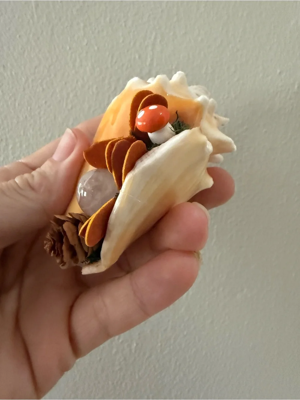 Handmade Cream and Brown Fall Seashell